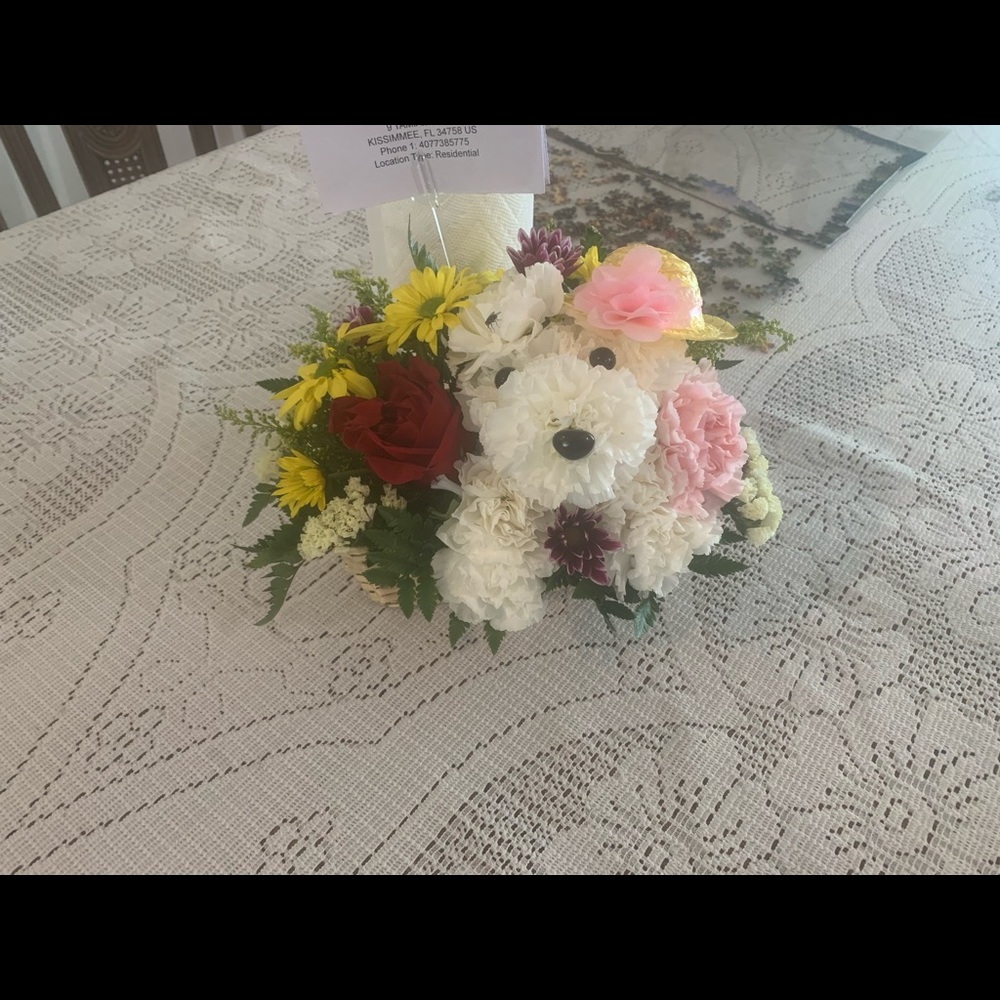 Meet your Posher, Priscilla